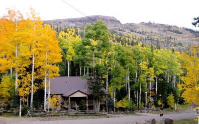 Nestled Cabin