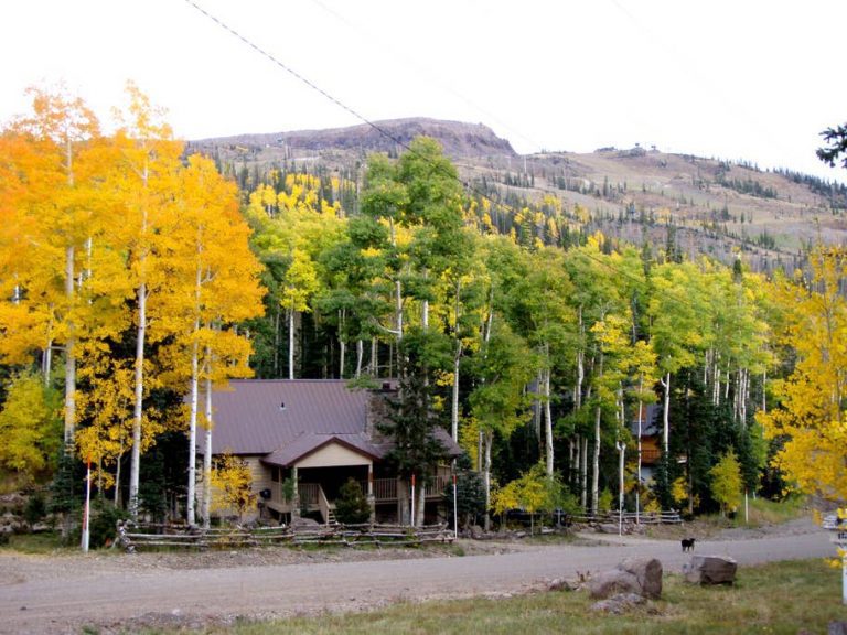 Nestled Cabin