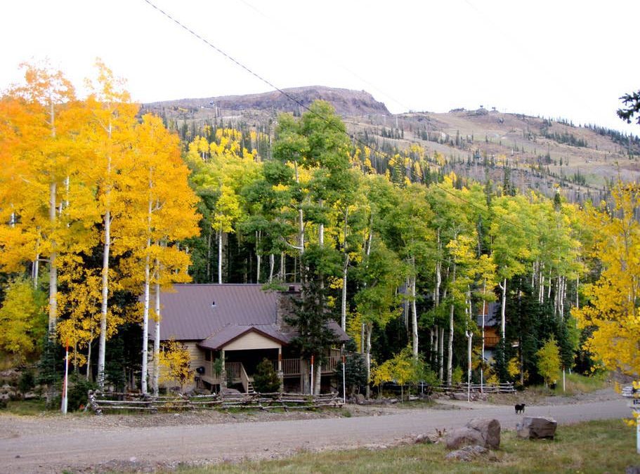 Nestled Cabin