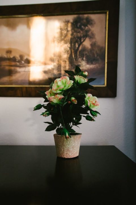 Vintage House — photo 4