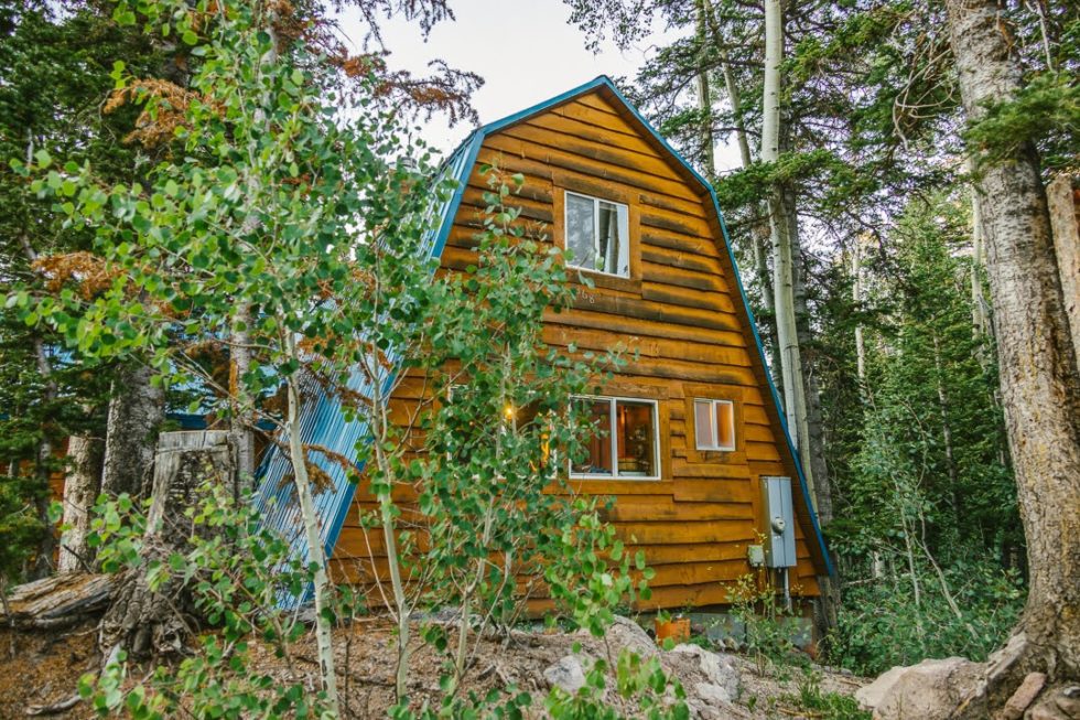 Spruce Cabin — photo 2